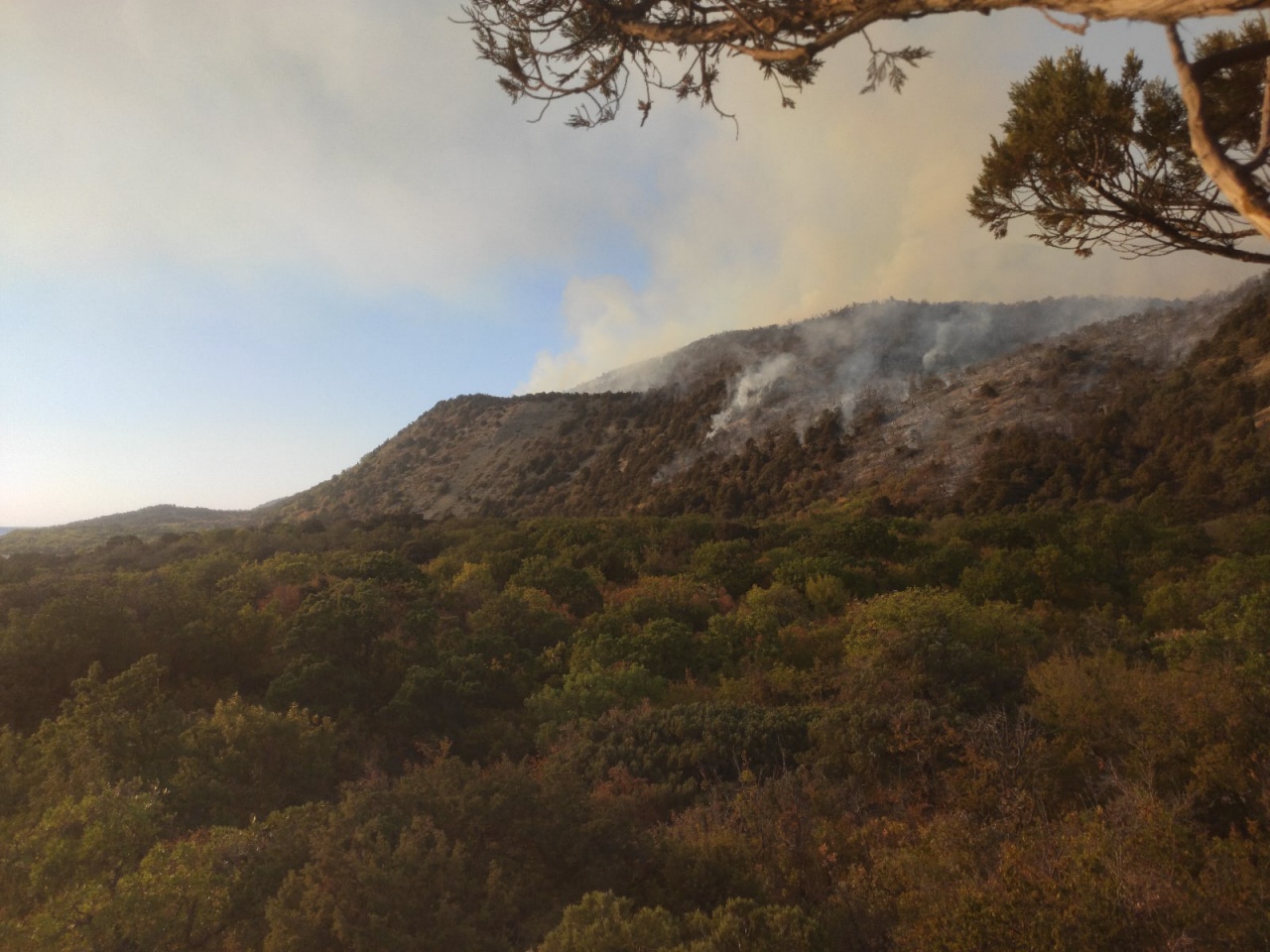 Пожар - Утришский заповедник - 6.jpg